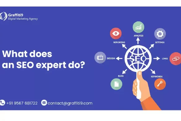 what seo experts do
