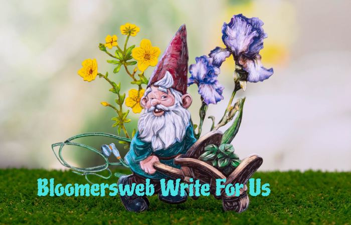 Bloomersweb Write For Us